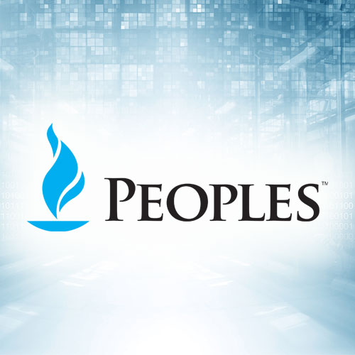 IDI Consulting Case Studies Peoples Natural Gas