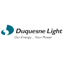 IDI Consulting Client Ququesne Light