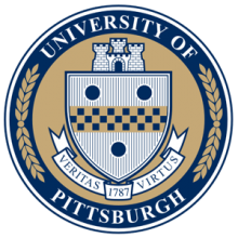 IDI Consulting Client University Of Pittsburgh